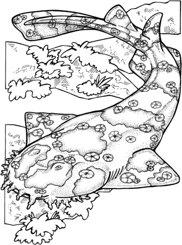 Wobbegong Shark Coloring Page